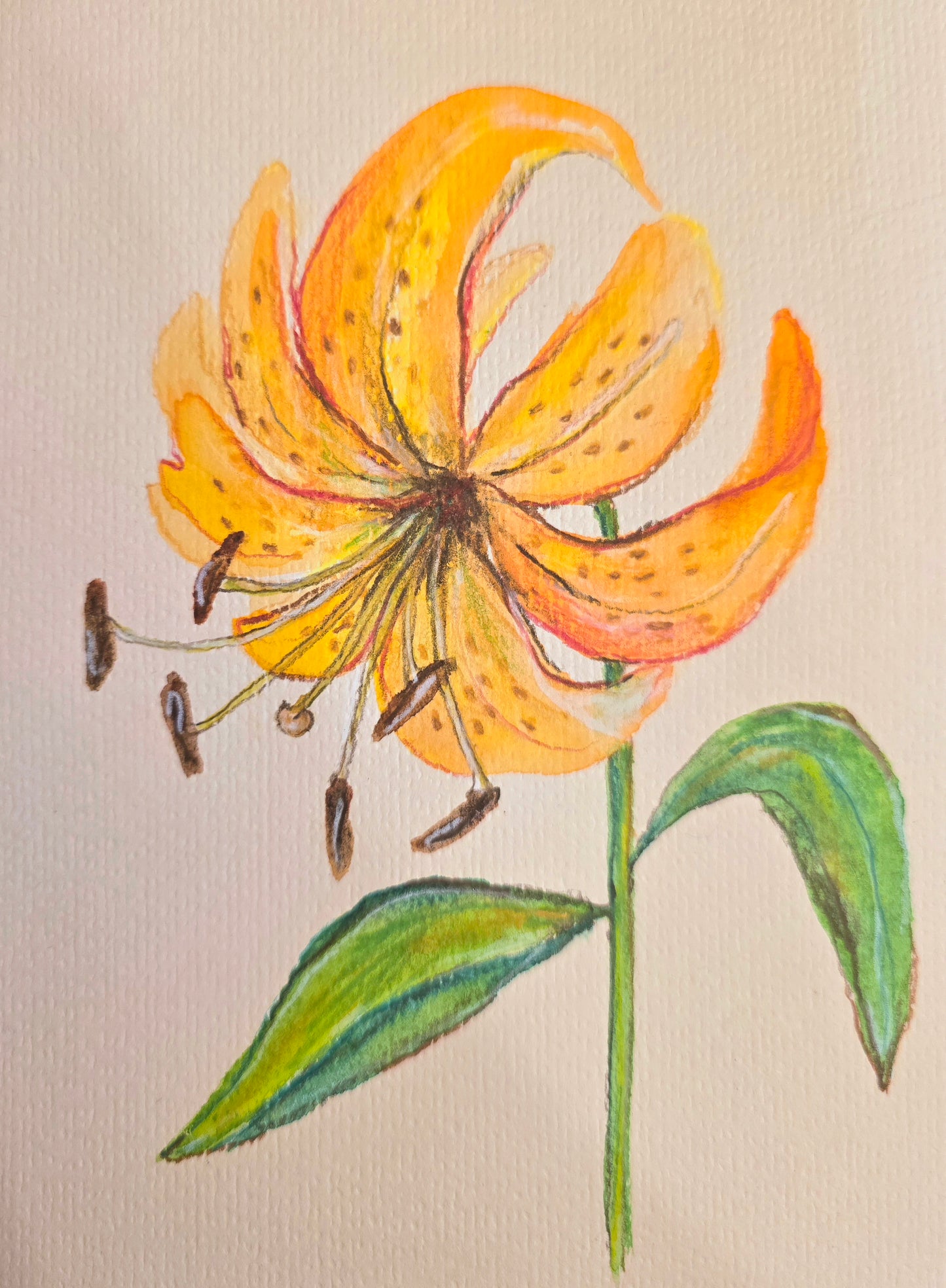 Yellow Lily