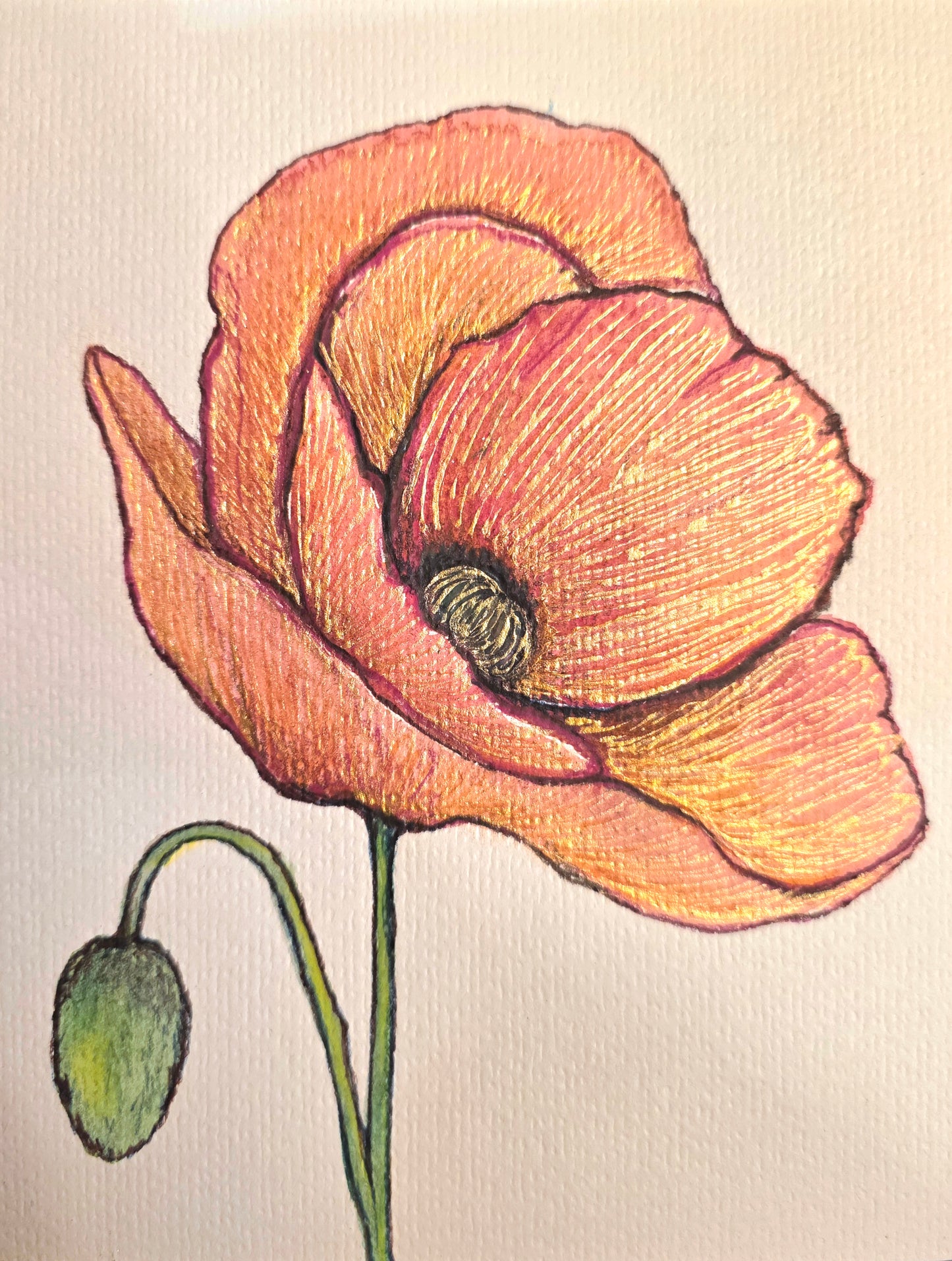Poppin Poppy
