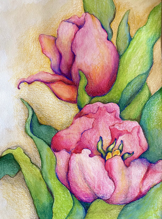 Tulip Dreams